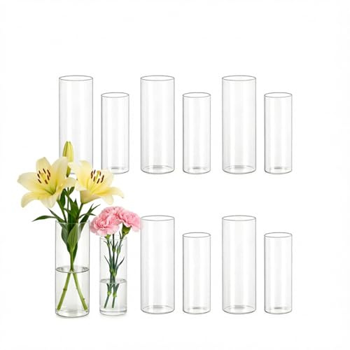 Glasvas cylindervas-set, små vaser för bordsdekoration, vas glas 12 glasvaser för bordsdekoration bröllop för bröllopsdekoration vardagsrum dekoration party dekoration festpresenter