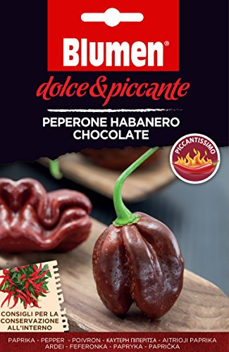 Blumen Semi di PEPERONE HABANERO CHOCOLATE