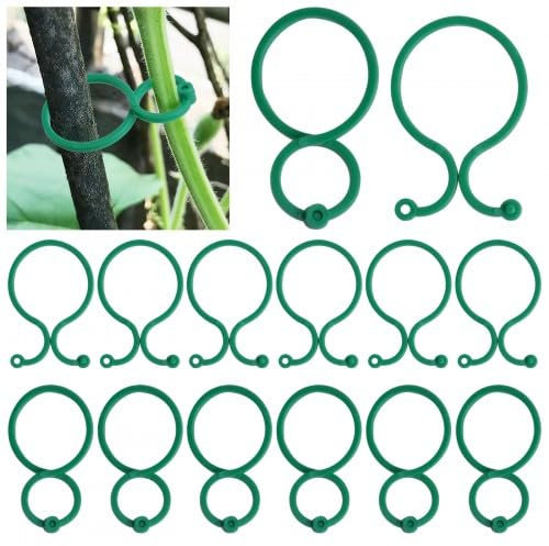 Rapidbok Clips de Jardin Support pour Plantes, 100 Pièces Réutilisables Clips Twisty Plante Anneaux, Pinces à Clip Tomate en Plastique pour Jardin Vigne Légumes Les Plantes Grimpantes (Vert)