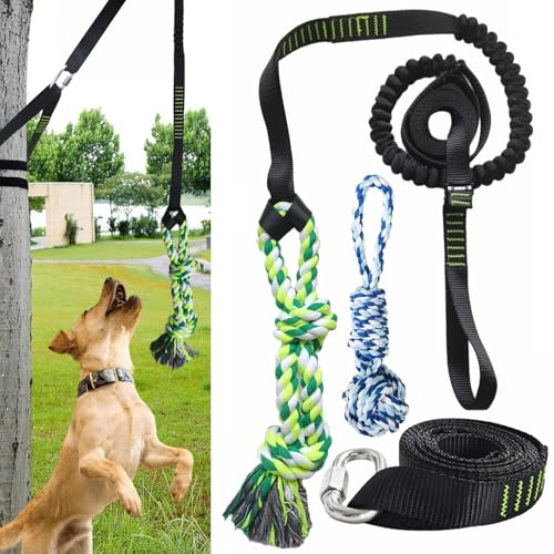 TUAHOO Dog Hanging Bungee Tug Toy, Interactive Retractable Play Cord Tether from Tree Outdoor for Small Medium Large Breeds Exercise Play, Tug of War Rope Pulling with 2 Dog Rope Toys