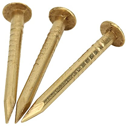 Tnfeeon Clou à Tête Ronde de 100 Pièces, Finition en Laiton Vintage, Clou de Quincaillerie Léger et Durable avec une Utilisation Polyvalente pour les Projets d'artisanat (18 mm de long)