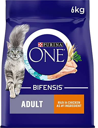 PURINA ONE Chicken Dry Cat Food 6kg