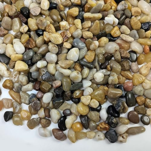 FANTIAN 1.8 kg Aquarium Gravel, 4-8 mm Fish Tank Gravel Pebbles. Decorative Stones Rocks for Plant Pots, Garden, Succulent, Cactus, Vase and Yard