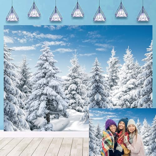 Toile de fond en hiver, neige, forêt, extérieur, pin blanc, scène enneigée, fond de photographie pour hiver, Noël, Nouvel An, événement, fête, décoration de fond (304,8 x 2,4 m : 304,8 x 243,8 cm)