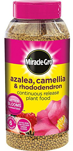 Miracle-Gro Azalea, Camellia and Rhododendron Continuous Release Plant Food Shaker Jar, 1 kg (6)