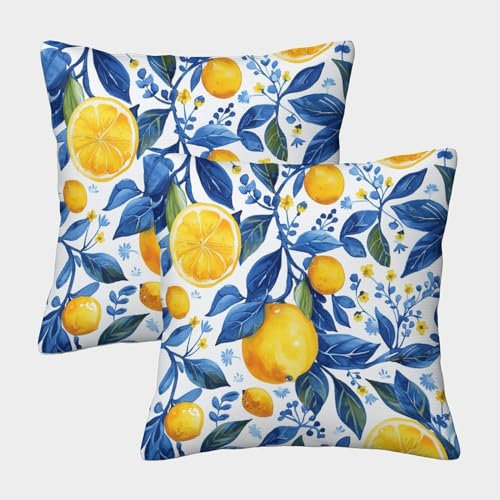 XIAOCHENG Limones y Naranjas Fundas Cojines Antialérgicas Juego De 2 Arte Anime Funda De Almohada Poliéster Cuadradas Fundas De Cojín Decorativas 45x45cm