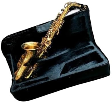 Professionell Saxofon Eb Altsaxofon Mässing Professionellt Instrument Med Fodral För Munstycke Och Andra Tillbehör