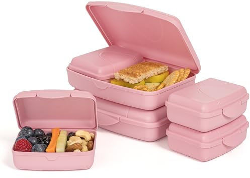 Hausfelder Brotdosen Set flach – Brotdose Schule und Büro mit Fächern (RosePink, 6er Set)