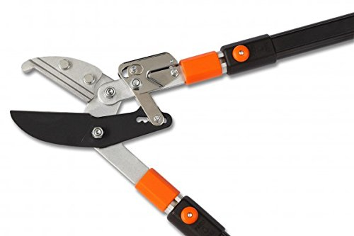 Gartenpaul Teleskop Astschere mit 6-Fach verstellbaren Griffen | Amboss Klingensystem mit Antihaftbeschichtung | Ratschensystem | Schneide Durchmesser ca. 5cm | Profi-Ausführung