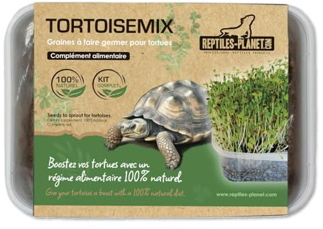 Reptiles Planet - Tortoisemix - Kit de Graines à Germer pour Tortue