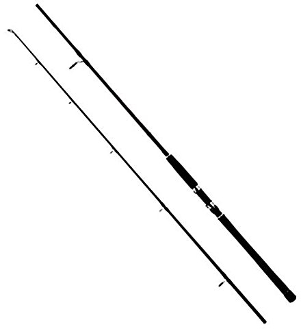 WFT High Carbon NC Jig & Pilk 2,45m 30-110g