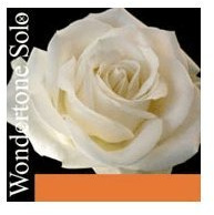 Pirastro E Ball Advanced Steel 26.7 Envelope For Violin Wondertone Solo