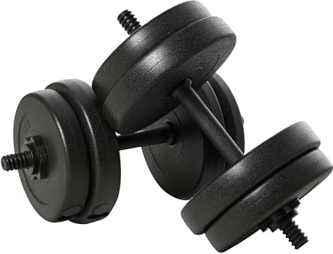 HOMCOM Set Manubri Palestra 20kg (4x2.5kg, 4x2kg), Pesi Palestra con 8 Dischi da 2kg, 2.5kg, Ø25mm, per Allenamento a Casa