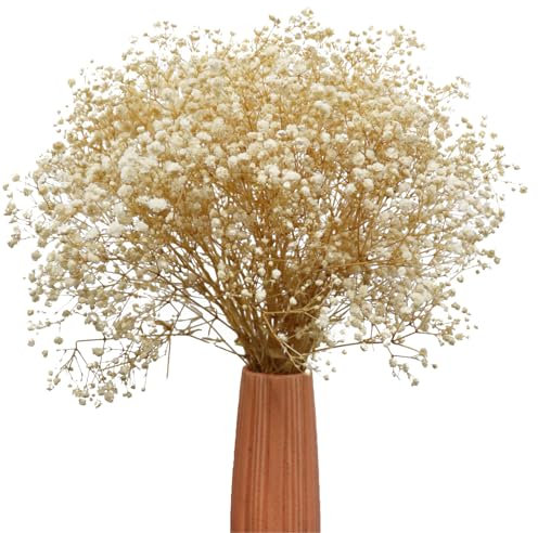 TooGet White Natural Dried Flowers Babys Breath Bouquet Gypsophila Branches for Home Decor, Wedding, Table Decor, DIY Wreath Floral, Dry Flowers Bulk for Vase