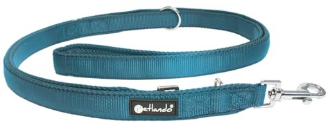 Petlando Hundeleine 3m Mesh, weich gepolstert, atmungsaktiv, leicht & robust, Führleine 3 Fach verstellbar mit Karabiner, Freihandleine, Umhängeleine, Leine für mittelgroße Hunde, Petrol 300x2,5cm