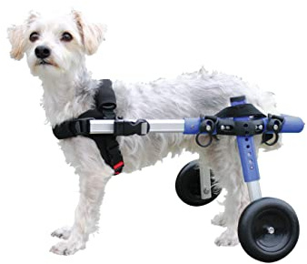 Walkin' Wheels Small Dog Wheelchair, Lightweight Dog Wheelchair for Back Legs, 15-25 lbs, for 12-15 inches Leg Height - Blue