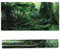 3D-Effekt Regenwald Poster Selbstklebende PVC Aquarium Aquarium Hintergrund Wandbild Dekorative Reptilien Terrarium Tapete Wohnzimmer Sofa TV Hintergrund Foto Wallpaper(91 * 50cm)