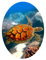 WANDKINGS WC Sticker Schildkröte Deckel Aufkleber 30 x 40 cm