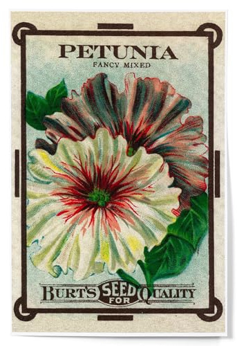 Lantern Press Petunia Seed Packet, 12x18 Inch Art Print, Home Decor