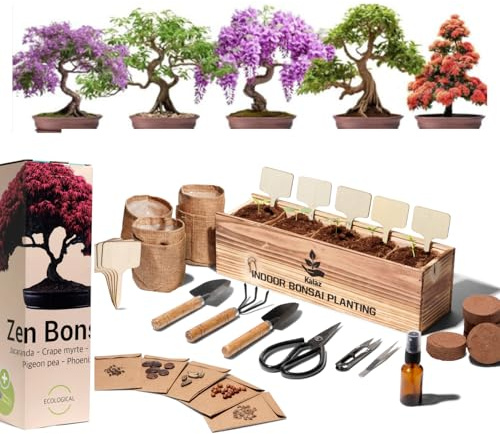 Kit Bonsai Complet démarrage - Décoration Bois intérieure - 5 Plantes Naturelles - Graines Japonaises - Outils & Ciseaux - Cadeau Femme & Homme - Coffret Originale mère - Jardinage débutant