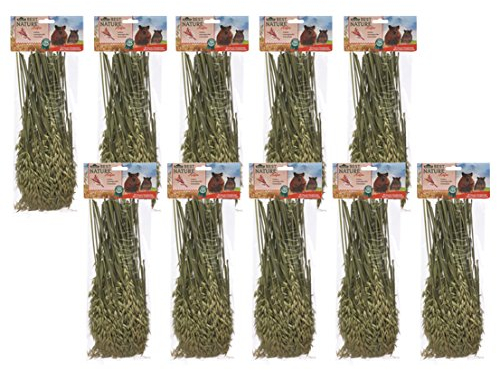 Dehner Best Nature Nagersnack, Knabberhalme 100 % natürlich, für Zwergkaninchen / Nager, Hafer, 10 x 75 g (750 g)