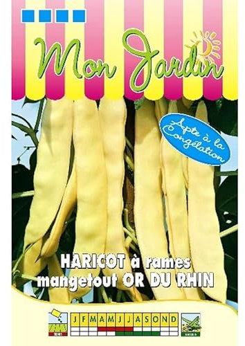 Sachet de graines de Haricot à rames beurre Or du Rhin - 100g - 100 g - haricot rames beurre - LES GRAINES BOCQUET