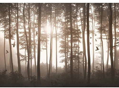 Runa Art Fotobehang Skogsdimma fåglar 352 x 250 cm Vliesbehang XXL Modern Woonkamer Slaapkamer Brun 9326011b