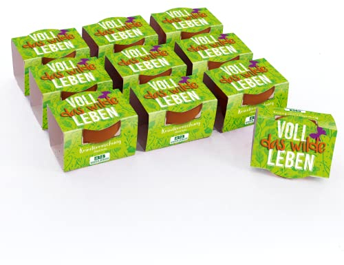 Bull & Bear 10er Set Mini Pflanzset 'Voll das Wilde Leben' Kräutermischung im Topf 4,5cm, Kräutersamen als Anzuchtset mit Pflegeanleitung