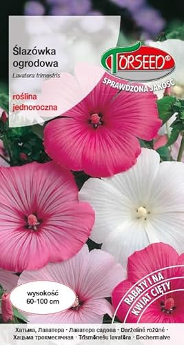 Verdica Semillas de malva de jardín Lavatera trimestris – Flores anuales vivas, ideal para flores cortadas, pleno sol, suelo bien drenado, 60-100 cm de altura, soporta polinizadores (2 gramos)