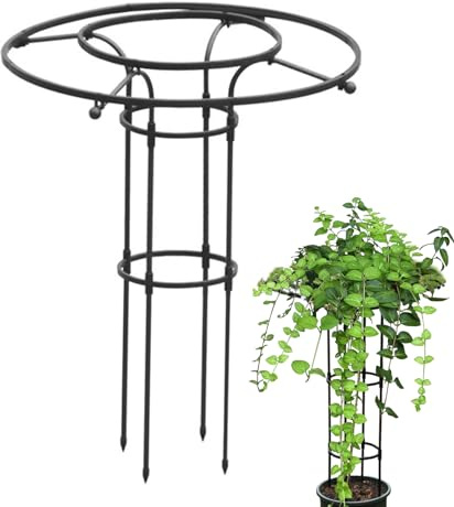 Rukjmqi Griglia da Giardino per Piante Rampicanti - Supporto Verticale in Metallo per Fiori,Traliccio Metallico A Ombrello Per Fiori, Piante Domestiche E Rampicanti