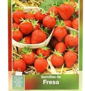 Sobre de Semillas de Fresas para Cultivar Plantas con Frutos en Casa