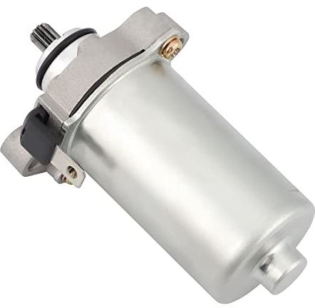 WOOSTAR Motor Electrico Arranque 10 Dientes Reemplazo para ZIP 50 PIAGGIO 80 LIBERTY 50 CH80 OEM 31200-GE1-712 31210-GE1-712 246390030