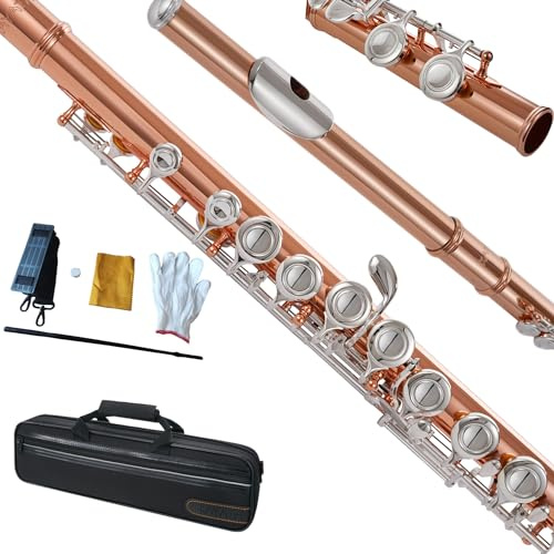 KAYATA Flöjtjärn, stängt hål C 16 tangenter flöjtinstrument, studentflöjt för nybörjare avancerad spelare med flöjtrengöringssats, bärväska, rem, sondstång, handskar, (silverpläterade nycklar