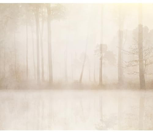 murando - Vlies Fototapete Wald 400x280cm - Foto Tapete Schlafzimmer Wohnzimmer Vliestapete XXL Wandtapete Motivtapeten Bildtapete 3d Effekt Wand Dekoration - Bäume Nebel Bach Landschaft b-A-10123-a-a