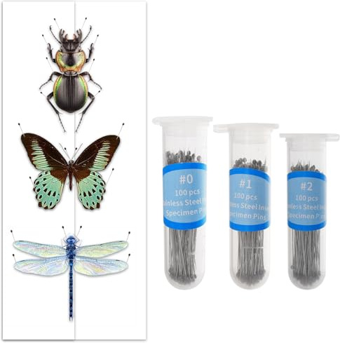 GLOBLELAND Lot de 300 Épingles à Spécimens D'Insectes en 3 Tailles Épingles à Insectes en Acier Inoxydable avec Flacon de Stockage en Plastique pour Collecteurs Papillons pour l'école et Laboratoire
