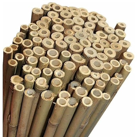 NG NICCOLAI - CANNE BAMBOO PER SOSTEGNO ORTAGGI, ARREDAMENTO E ALTRI USI - VARIE ALTEZZE E MISURE CONFEZIONI DA 10-25 - 50 PEZZI (10, H. 180 cm - Ø 22-24 mm)