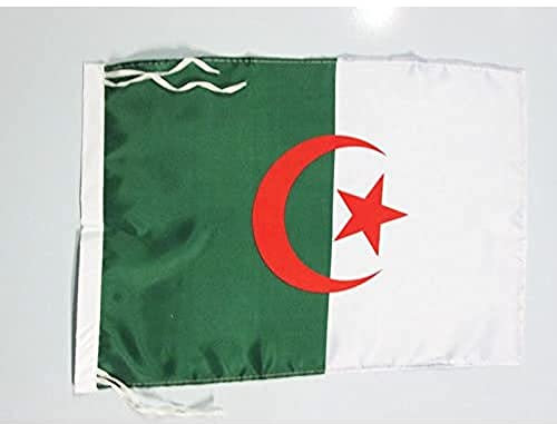 AZ FLAG - Drapeau Algérie - 45x30 cm - Pavillon Algérien Polyester Léger Avec Deux Cordelettes - 20g