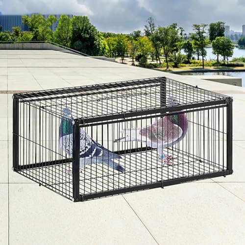 Fågelfällabur Djurfälla - 42x40x26cm Fågelfällabur med 2 enkelriktade ingångar och takfönster för enkel montering och rengöring - Kontrollera duvaproblem med denna fällbur
