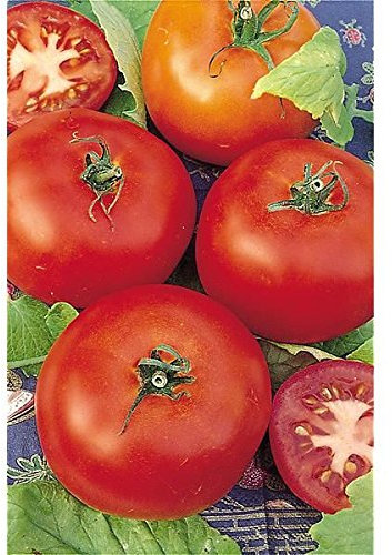 POMODORO SAINT PIERRE NR.200 SEMI