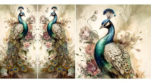 Carta di riso pavone, 29 x 29 cm (2 fogli), 3 immagini per mobili, poster, decoupage CRAFT KREATIVELY