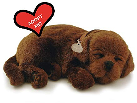 Perfect Petzzz Original Petzzz Chocolate Lab, Realistic, Life-Like Stuffed Interactive Plush Toy, Electronic Pets, Companion Pet Dog with 100% Handcrafted Synthetic Fur