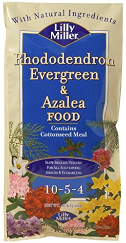Lilly Miller Rhododendron Evergreen And Azalea Food 10-5-4 16lb