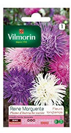 Vilmorin - Sachet graines Reine marguerite plume d'autruche variée