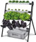 PLANTAWA Sistema de Cultivo Hidropónico Rocket 24, Huerto de Exterior Sistema de Plantas Hidropónicas para Hortalizas, Jardín Vertical para Pared o Terraza, Macetas con Sistema Autorriego