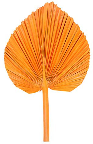 FOMIYES Abanico De Totora Simulado Abanicos Naturales Hojas Secas De Palma Decoración De La Hoja del Arte De La Pared Abanico De Palma Seca Verdor Hojas De Palma Ventilador Palmera Anciano