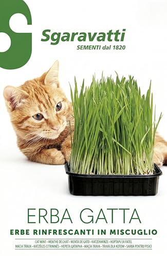 Semi Erba Gatta | Miscuglio di Erbe Rinfrescanti per Gatti | Semi da Piantare Alta Germinazione | Coltivazione Facile in Vaso, Orto o Balcone | Molteplici Semi per Erba Gatta Naturale