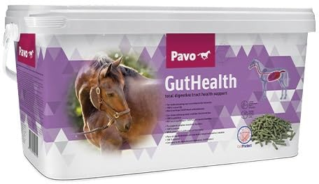 Pavo GutHealth | Unterstützt eine gesunde Verdauung | 7,5 KG
