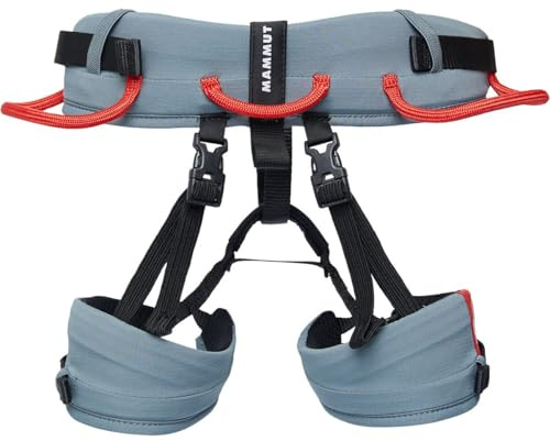 Mammut, Ophir 2.0 Harness - Kids', Strata/Mammut Red, One Size