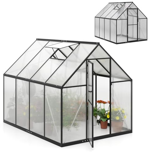 HOMASIS Gewächshaus Aluminium mit Fundament, 250x190x195cm, Gartenhaus mit Dachfenster & Tür, Frühbeet Winterfest Outdoor, Pflanzenhaus Teibhaus Anlehngewächshaus für Tomaten, Garten & Balkon