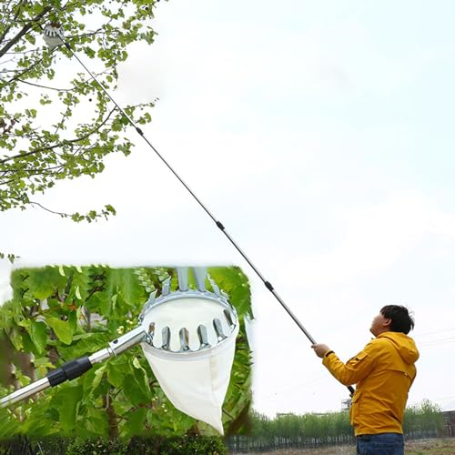 raccogli asparagi pinza frutta Raccoglitore Per Alberi Da Frutta Con Asta E Cesto, 2,5 3 4 5 6 M Di Altezza Attrezzi Regolabili Per La Raccolta Della Frutta Strumenti Per La Raccolta Per Verdura, Limo